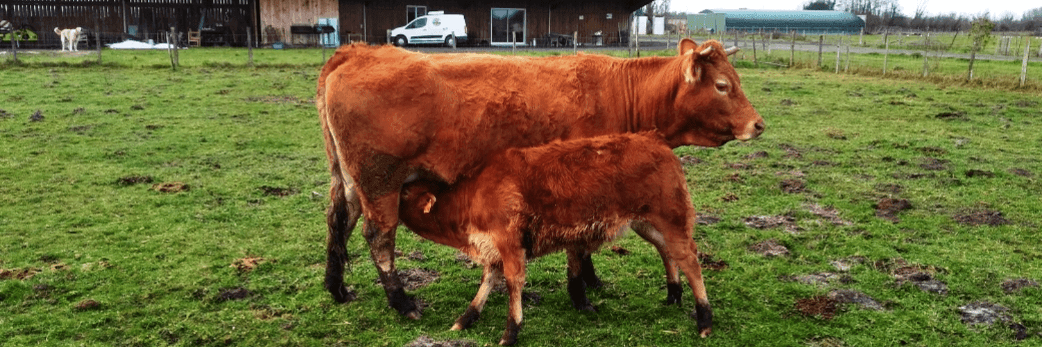 Bannière de La Ferme des Prairies de Pallard