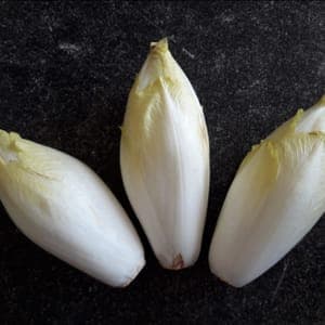 Endives