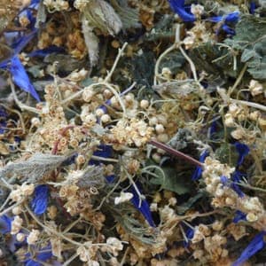 TISANE BAL MUSETTE