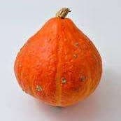 Potimarron (1,2/1,4kg)