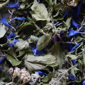 TISANE TEMPO VITALITE 