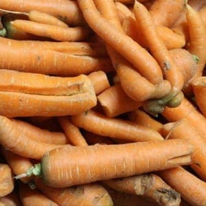 Carottes déclassées