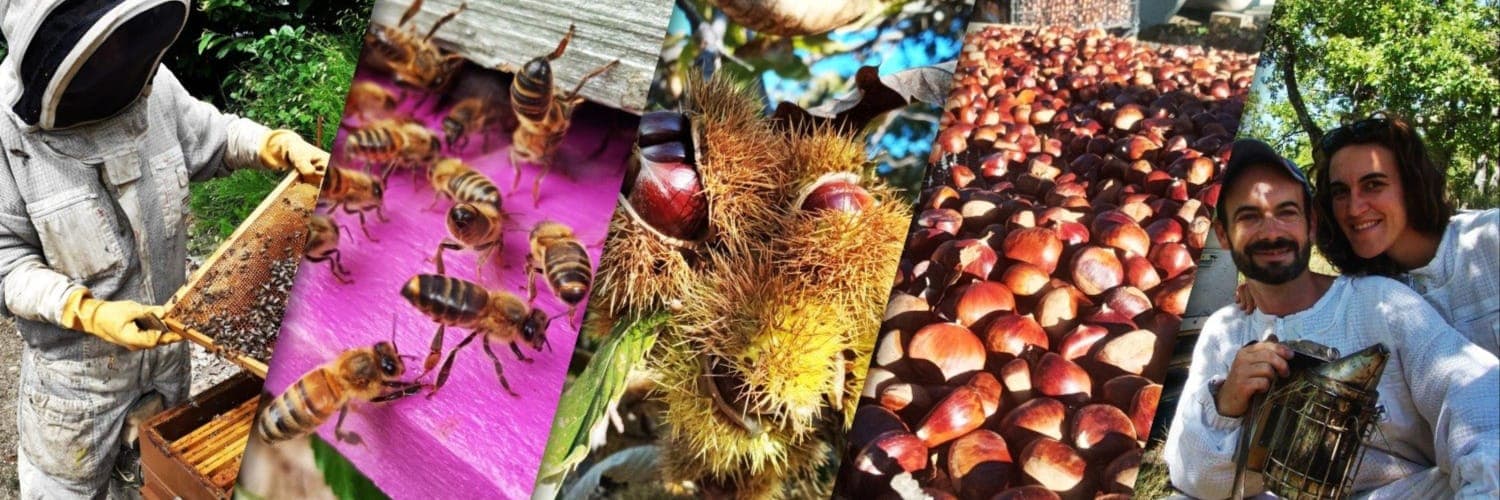Bannière de La Ferme de Max et Laiti