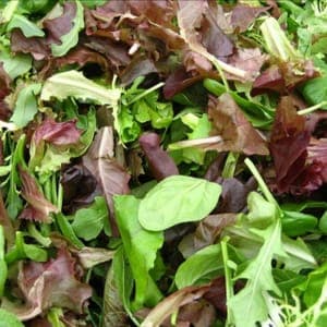 NOUVEAU : Mesclun doux, jeunes pousses de salades lavées