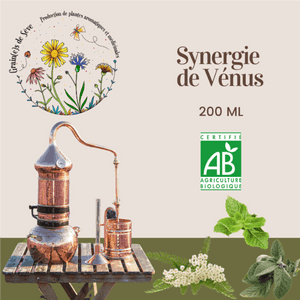 Synergie de Vénus