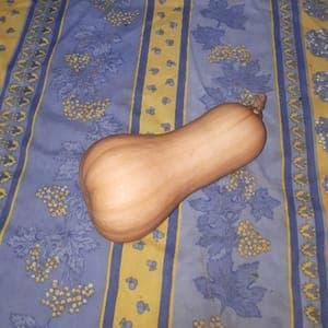 Butternut pièce de 3kg environ
