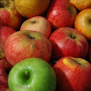 Pommes en mélange