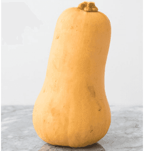 Courge Butternut