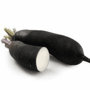 Radis Noir Rond ou Long