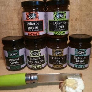 Délice de Thym citronné (gelée)