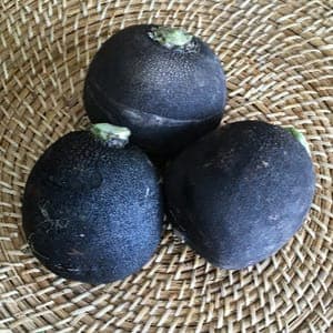 Radis Noir