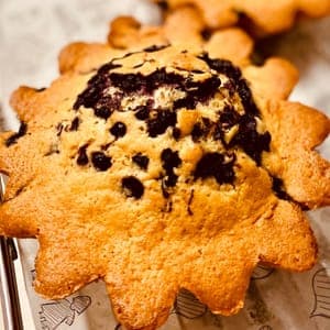 Tourte aux myrtilles