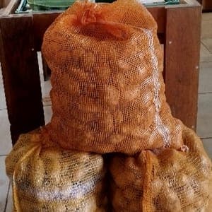 Sac de pommes de terre 