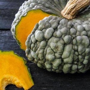 Courges Marina Chioggia tranchée