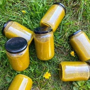 Velouté de courgettes