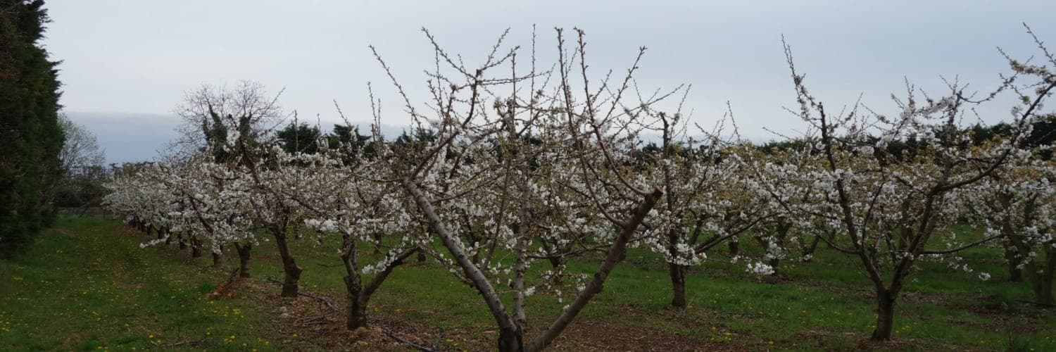 Bannière de GAEC DES VERGERS DE FOUILLOUSE