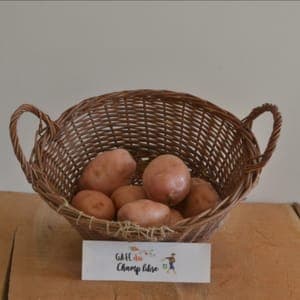 pomme de terre alouette