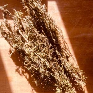 la FOCCACIA BELLE BRANCHE