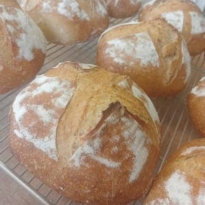 PAIN DE TRITICALE NATURE  PUR LEVAIN 500G