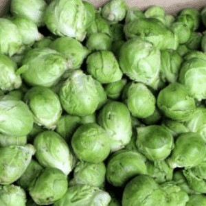 Choux Bruxelles