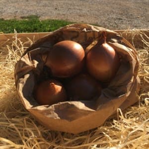 OIGNONS JAUNES (600 grammes)