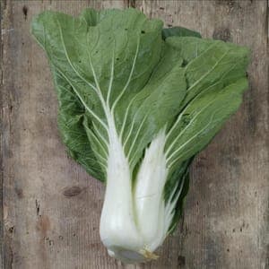 Chou chinois Pak Choi
