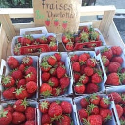 Le Panier du Rouge Gorge #2