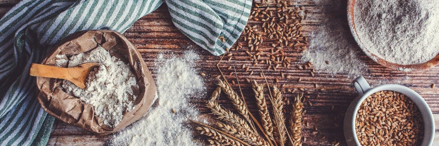 Bannière de Sur Nos Terres