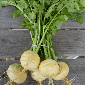 🐸 Navets boules d'or