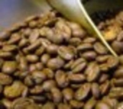 GLACE VEGETALE CAFE 516ML( avoine)