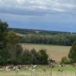 Gaec le cabrioray #8