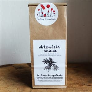 Artemisia annua