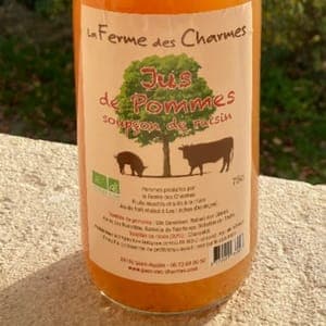 Jus pommes soupçon de raisins bio