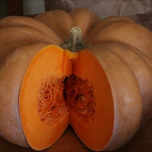 Courge ENTIERE (2,90€/kg)