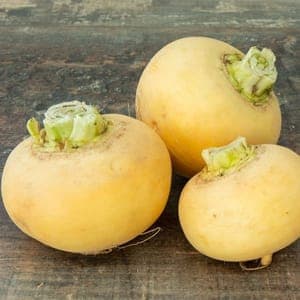 Navet Boule d'or