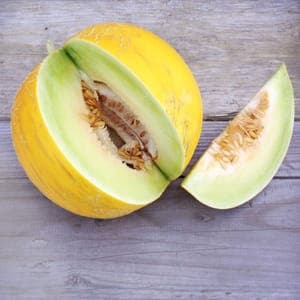 Plant de Melon jaune Boule d'Or