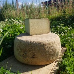 Tomme de brebis au lait cru