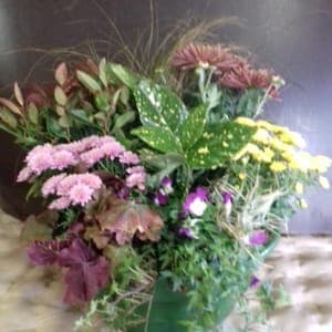 Coupe florale de 35 cm avec 7-8 plantes