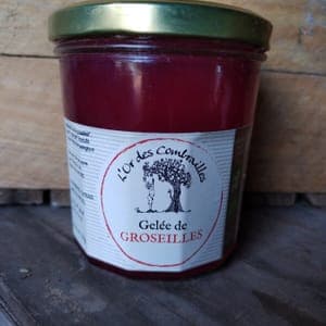 Gelée de Groseilles