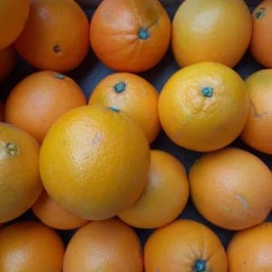 Orange Navelina Italie