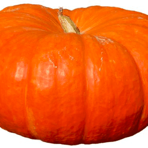 potiron BIO