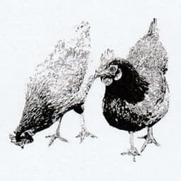Logo de La Ferme des Loges distribution Proludic