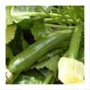 Courgette verte