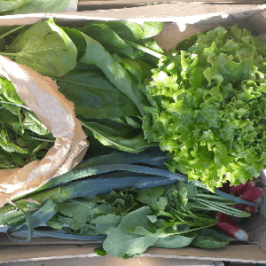 Panier de la semaine -mix d'au moins 5 légumes différents variant (ou pas) suivant les récoltes, les saisons et les disponibi