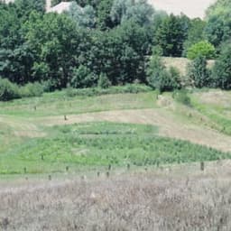 La Ferme des Peupliers Noirs #4