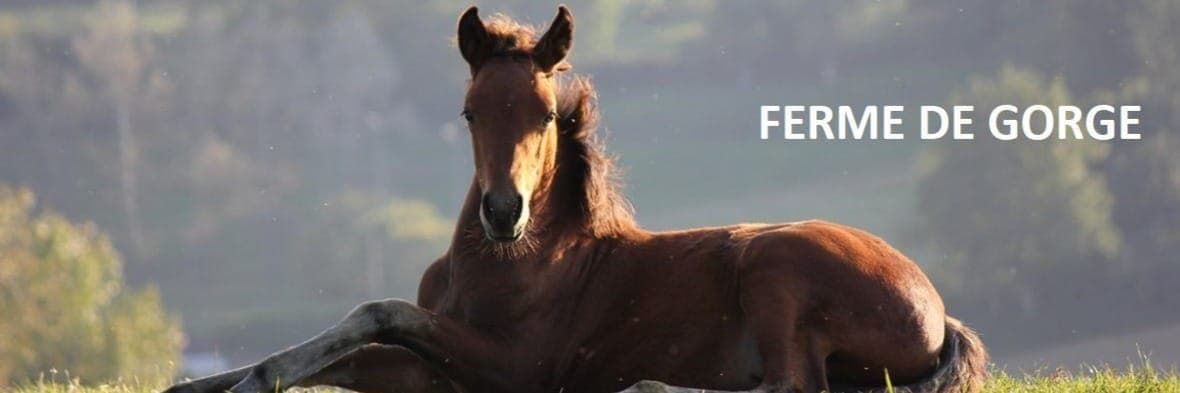 Bannière de ferme de gorge