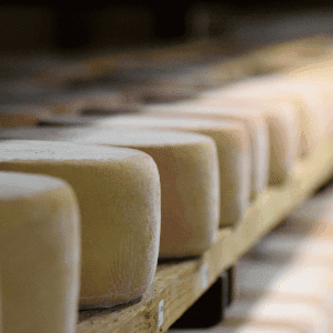 demi tomme de chèvre 4 mois