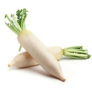 Radis Daïkon