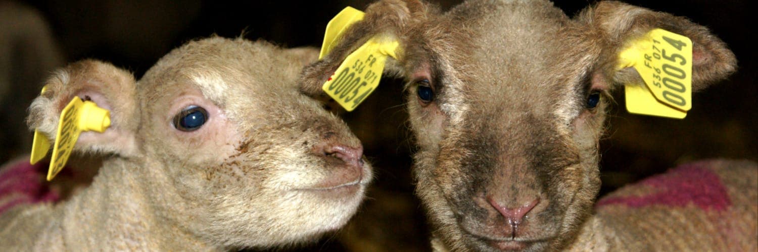 Bannière de La Ferme de Mathurille