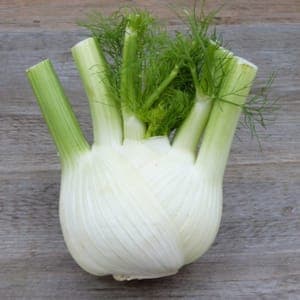Fenouil